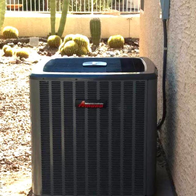 A residential outdoor AC unit with cacti and a fence behind it.