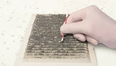 A technician with a gloved hand cleans a dirty ventilation grill next to a moldy white wall with a cotton swab.