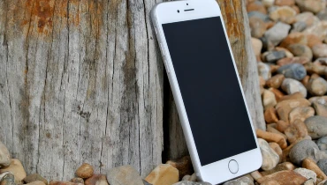 iPhone leaning against stump on pebbles.