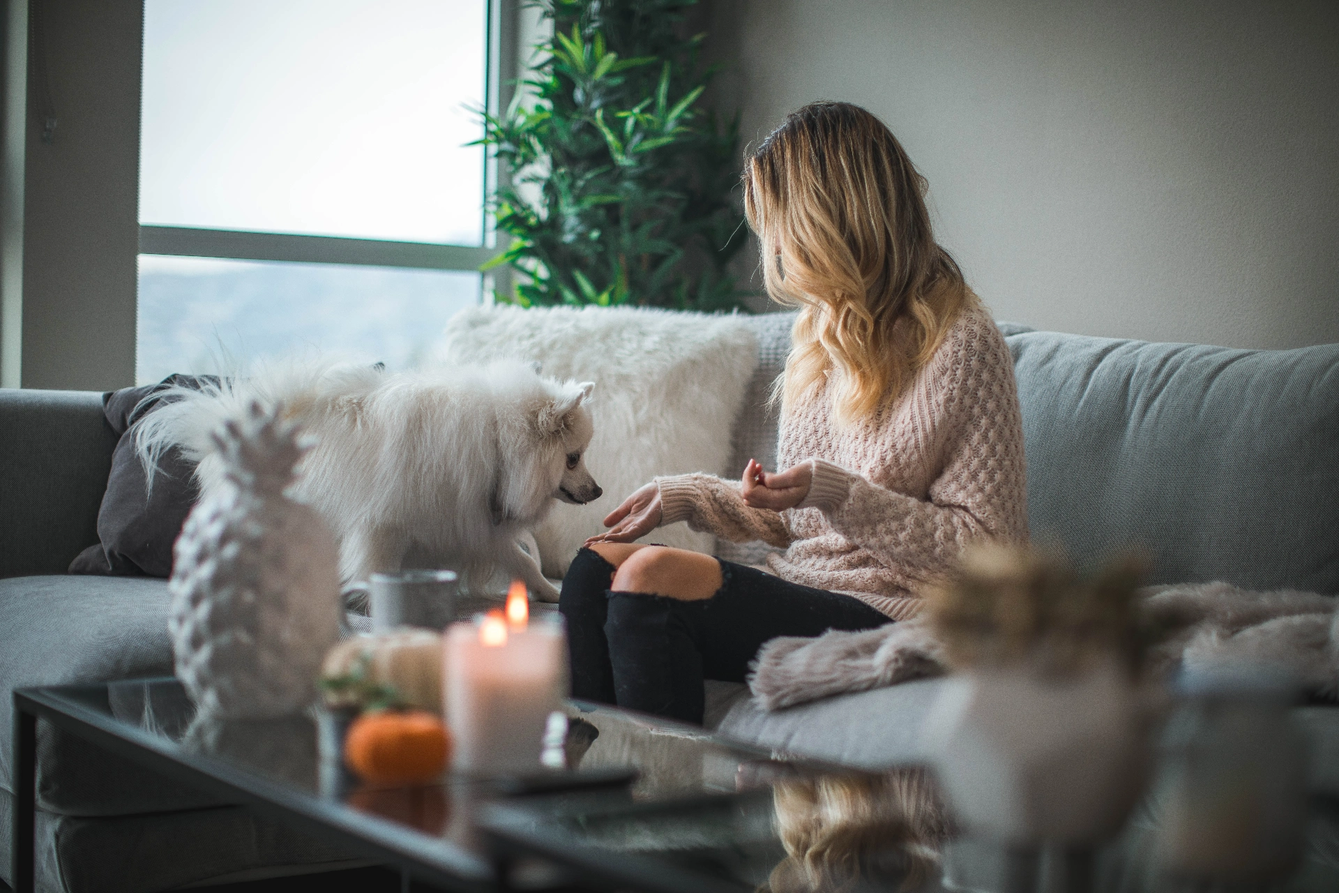 woman on couch with dog.