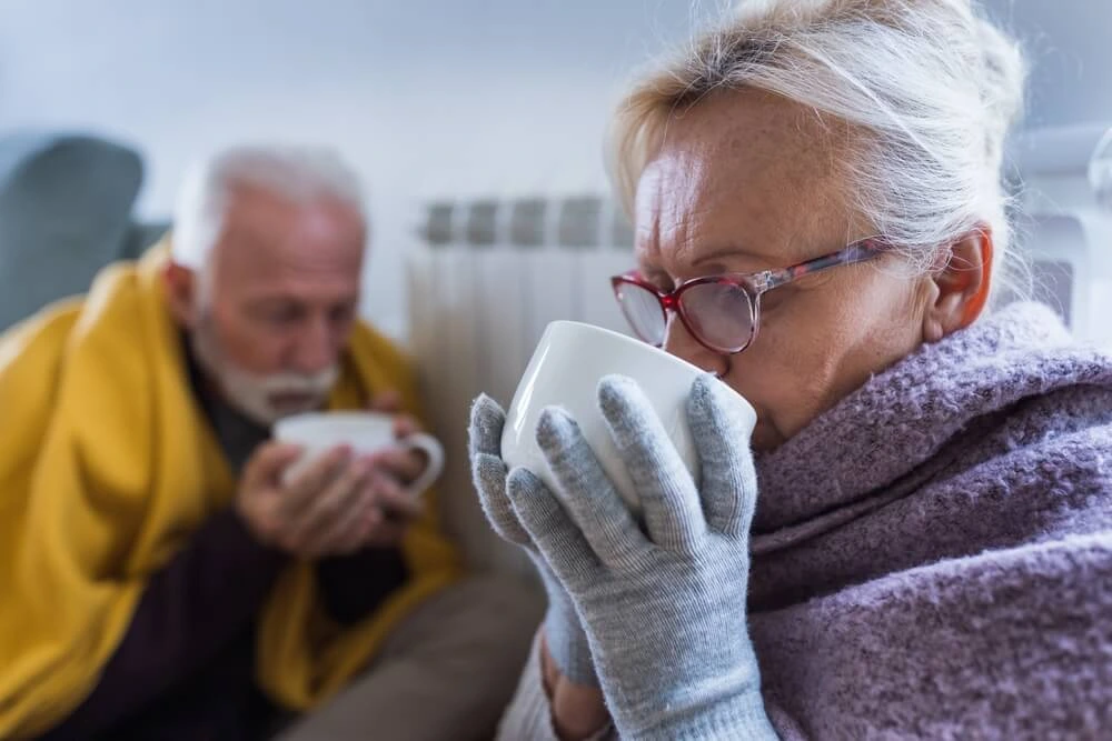 Senior couple covered blanket sitting beside.